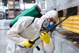 Best Pest Exclusion Services  in Ke Providence, LA